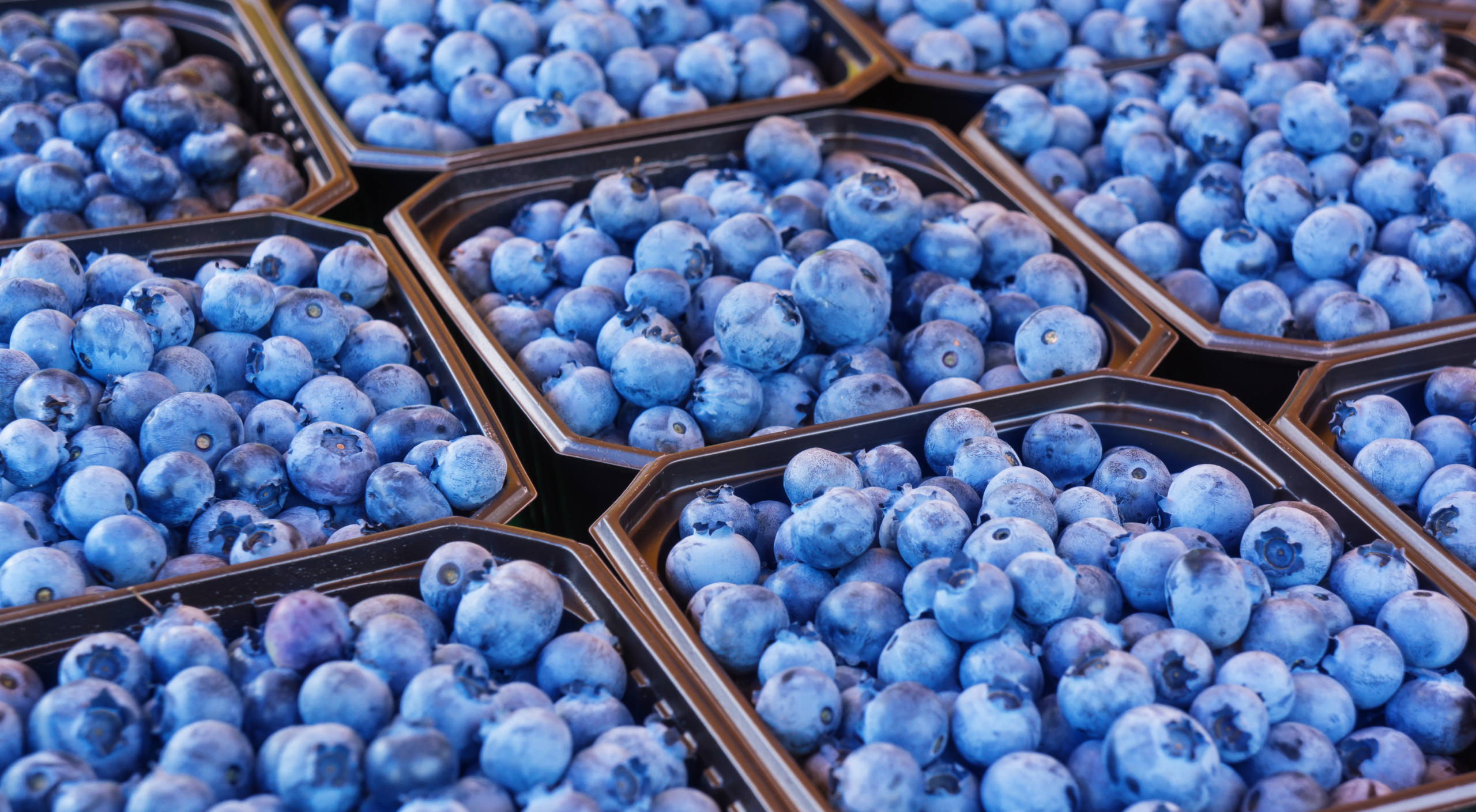 Food and Agricultural Sciences