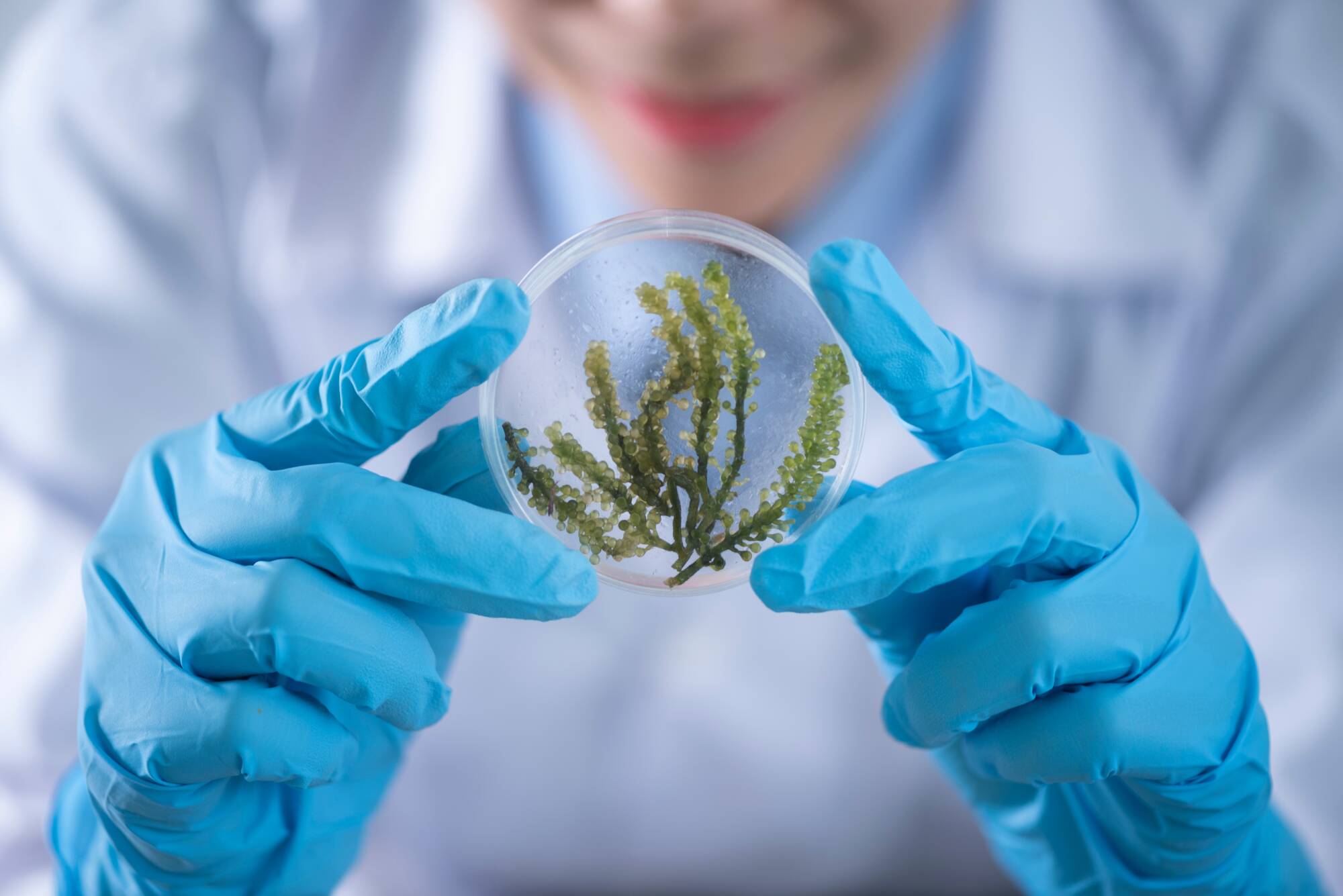 Healthcare and Life Sciences